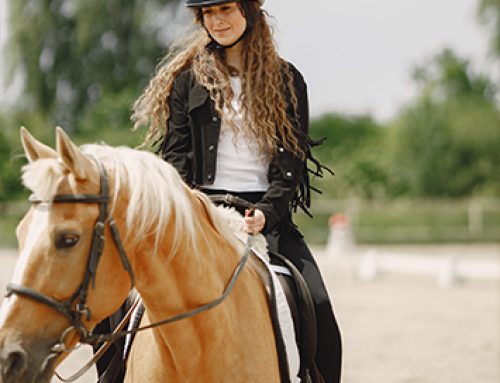 Horseback riding